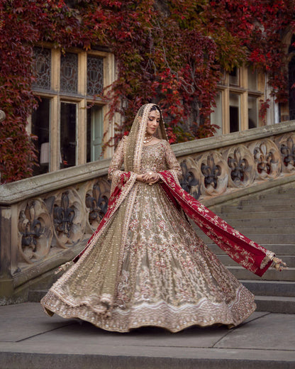 Royal Ivory - 004