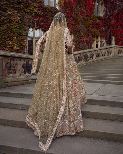 Royal Ivory - 004